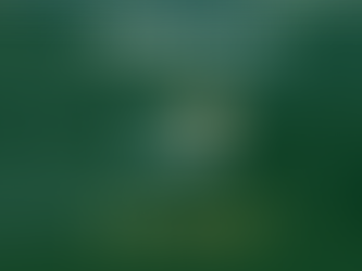 Concurso docente UFCAT 2025 oferece vagas para Educação e Medicina com salários de até R$ 13,2 mil