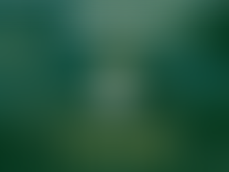 Concurso Docente UFC 2025: vagas, salários, inscrições e tudo o que você precisa saber