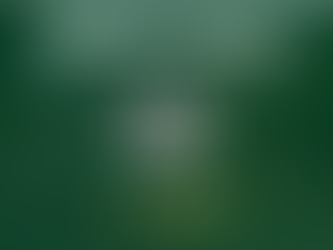 Concurso docente UFV 2025 Língua e Literatura Inglesa tem edital publicado