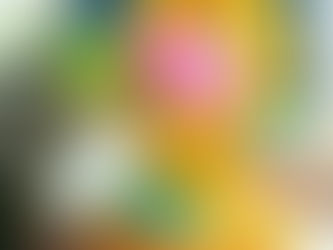 Demand for Eco-friendly Cleaning