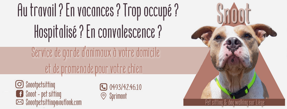 bannièrefb_edited.png