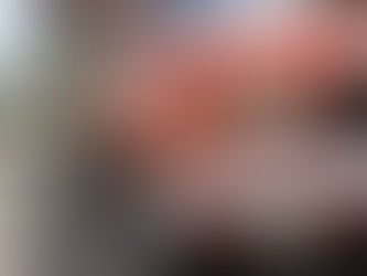 opala o carro que o Brasil chamava de seu