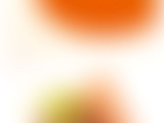 季節メニューと日程について