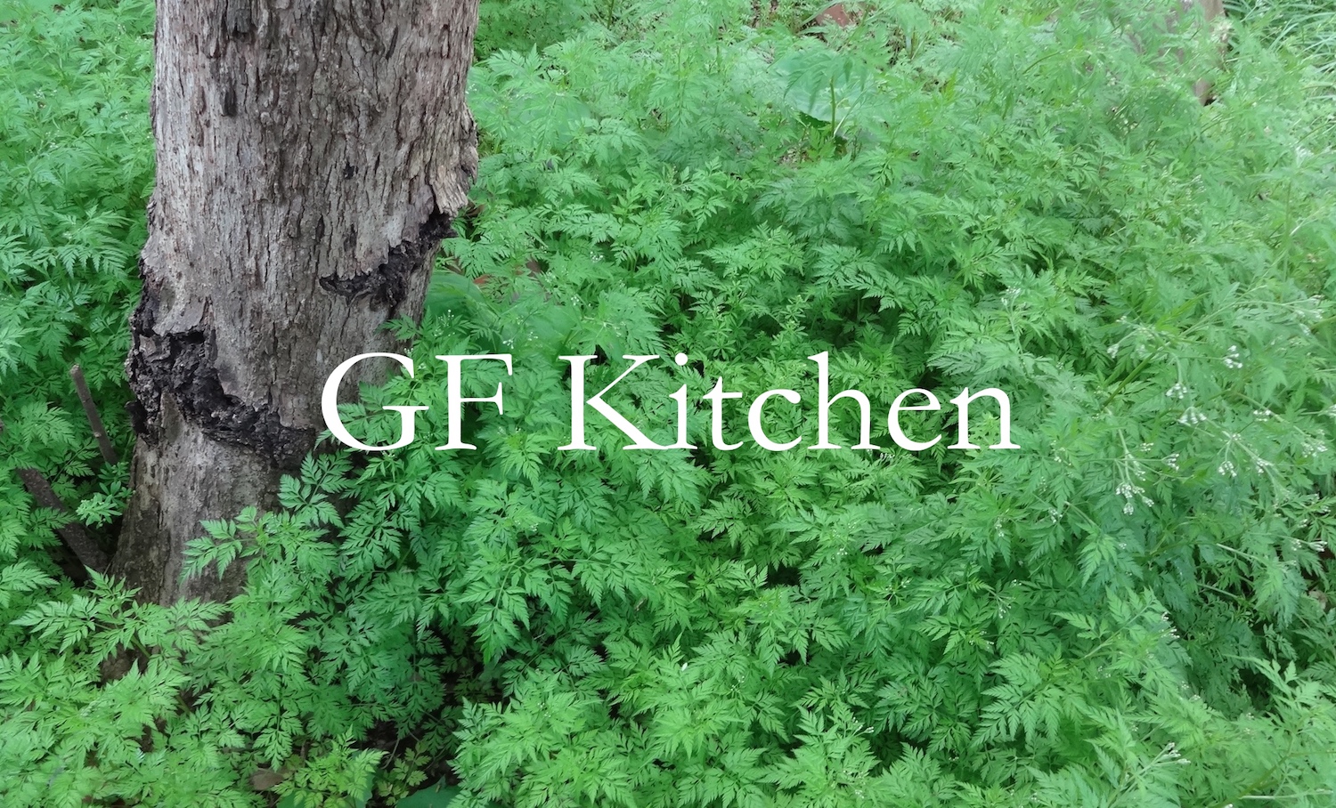 GF Kitchen