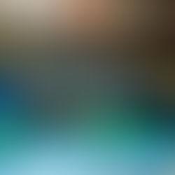 Seleção masculina de Handebol é ouro nos Jogos Sul-Americanos