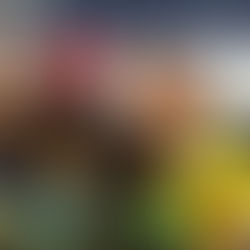 Seleção Brasileira encerra Japan Cup 2019 na terceira colocação