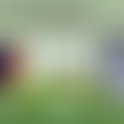 Guarulhos (SP) x Pinheiros (SP)