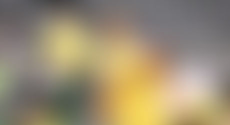 Brasil perde para Alemanha e não avança às semifinais do Mundial de Handebol Escolar