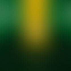 Cascavel (PR) disputa sua primeira Liga Nacional de Handebol 