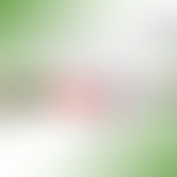 Começam as quartas de final da Liga Nacional Masculina de Handebol