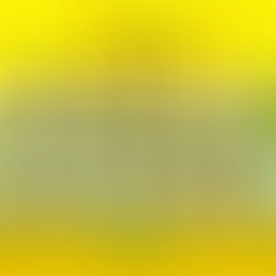 No Mundial do Egito 2021, Seleção busca superar ano tumultuado