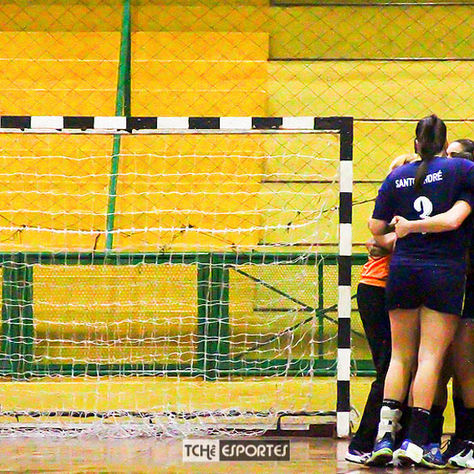 Santo André acaba com equipe feminina adulta de handebol