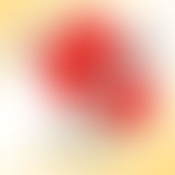 Rádio Farol (RO) deixa disputa das quartas de final da Liga Feminina de Handebol