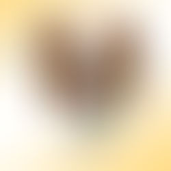 Português (PE) quebra hegemonia sul/sudeste no Final Four da Liga Feminina de Handebol