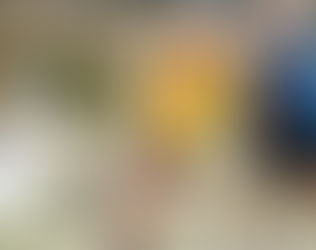 IHF realiza a Semana de Handebol Infantil