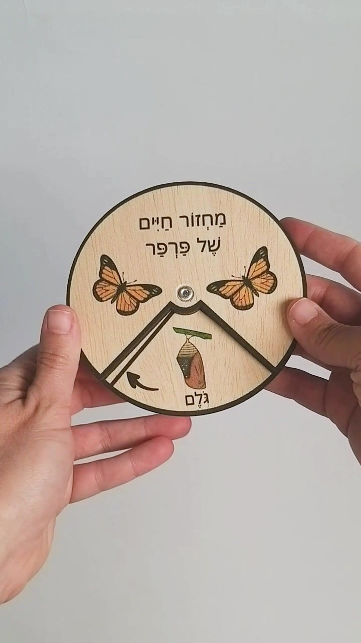 תמונה ממוזערת: מחזור חיים של פרפר