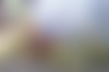 どんど焼き開催のご案内