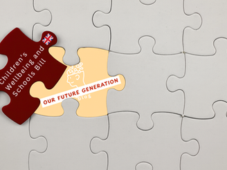 Reflections on The 'Children's Wellbeing and Schools Bill'