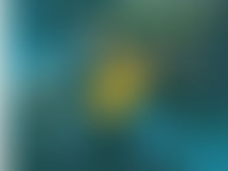 The Country Side Of Harmonica Sam -
Winter bungalow / Christmas at the bar