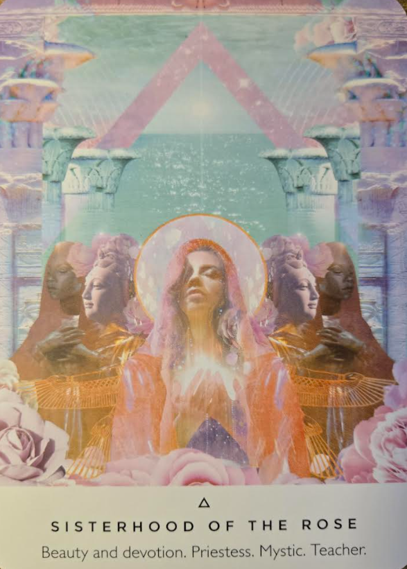 Sisterhood of the Rose : Work your Light Oracle