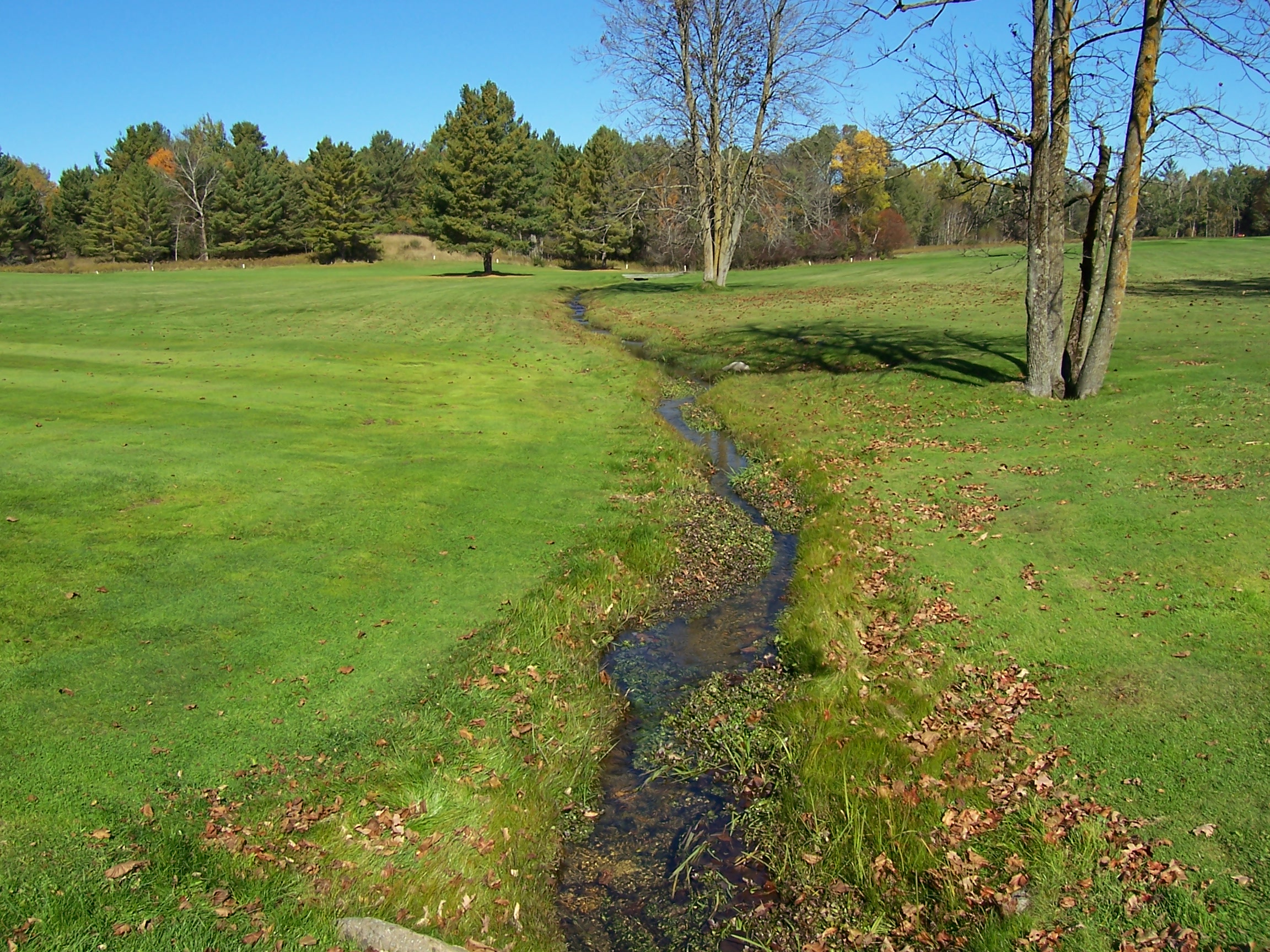 EVENTS springvalleygolf