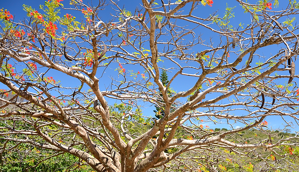 _DSC0601.png
