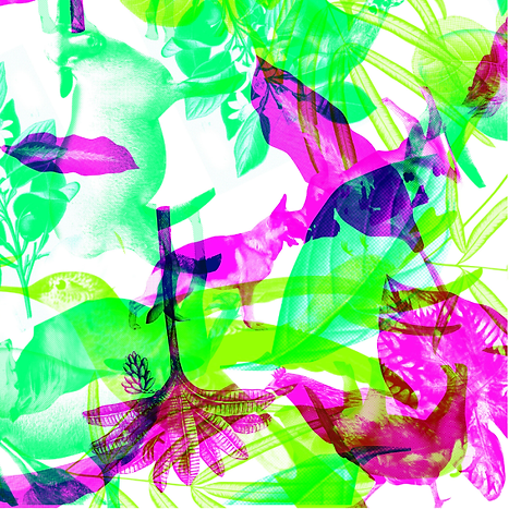 LHISA_WEB5 copy.png
