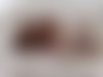 Poppys Scrumptious Puppies