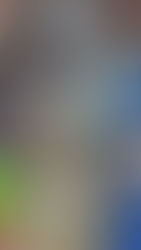 The Blooming puppies interactive toy play