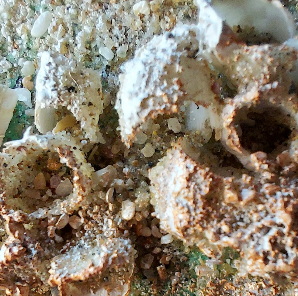 Miniatura: Abundância – Pajuçara (100x150cm)