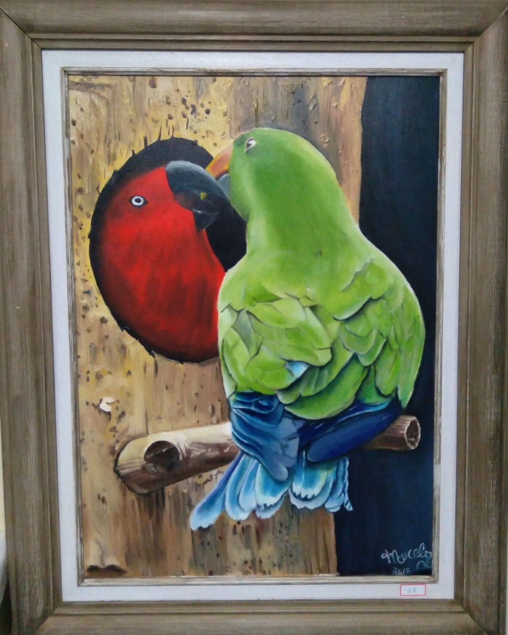 Papagaios Ecletus 50 X 70 cm