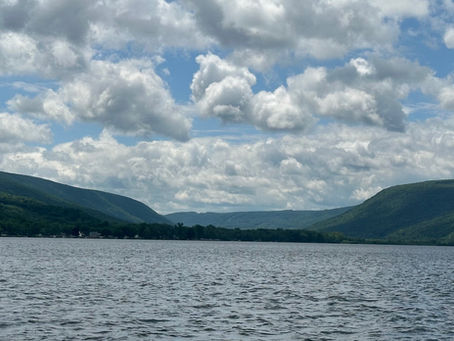 Monday June 3rd 2024-Honeoye Lake Water Quality Update