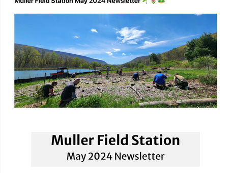 Monday May 20th, 2024 Honeoye Lake Water Quality