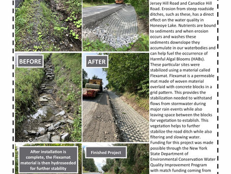 November 12 2023, Roadside Ditch Stabilization in Town of Canadice & New FEMA Flood Plain Map Info