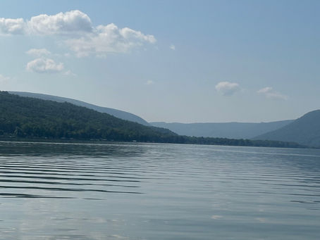 Monday August 26, 2024 Honeoye Lake Water Quality - Lake wide blue-green algae bloom.