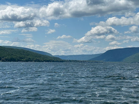 Monday June 24, 2024 Honeoye Lake Water Quality. June Muller Field Station Newsletter.