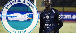 Moisés Caicedo será nuevo futbolista del Brighton