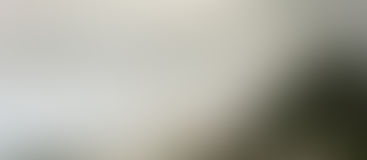 Siberie Monamour/ Rusia (2011) DÉCIMA EDICIÓN DEL FESTIVAL DE CINE DE CUENCA