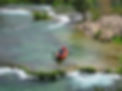 paddle-812266_1920.jpg