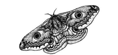 beesandmoth.png