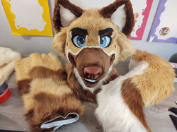 zakshep