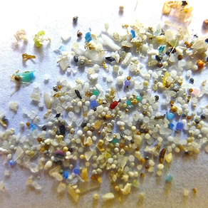The Dangers of Microbead