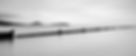 brandon-kawamura-bKQLntaZ8uA-unsplash_edited.jpg