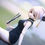 サムネイル： DD・DDdy・smartdoll／ブラックジャカード・裾短