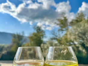 Filtered vs Unfiltered Olive Oil: Myths and Truths