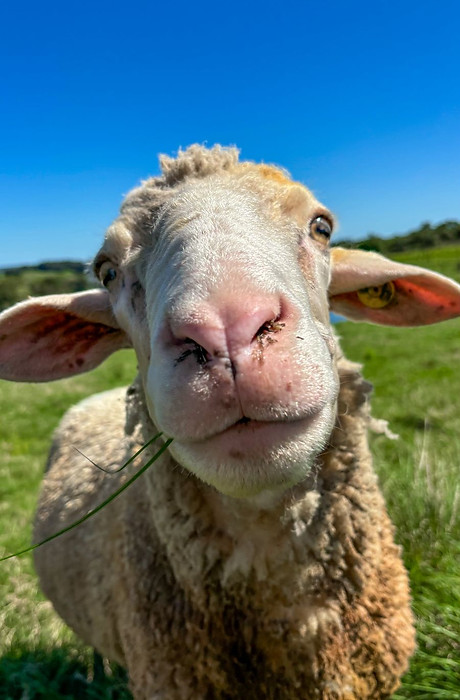 Imagem do WhatsApp de 2025-06-04 à(s) 19.48.55_15b3b08a.jpg