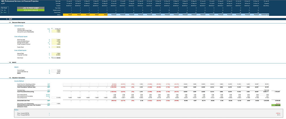 Thumbnail: professional services financial model discounted cash flow