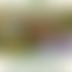 4° TROFEO CITTÀ DI POGGIBONSI E FINALE CAMPIONATO REGIONALE SU LEPRE FIDC-UCT 2026