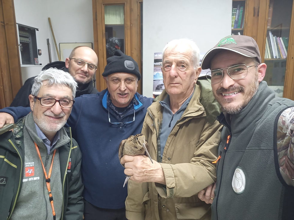 TELEMETRIA SATELLITARE APPLICATA ALLA BECCACCIA: CONTINUA L’IMPEGNO DI FEDERCACCIA TOSCANA-UCT PER LA RICERCA