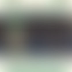 CAMPIONATO REGIONALE A BECCACCE 2026 Federcaccia Toscana-UCT: appuntamento in Maremma